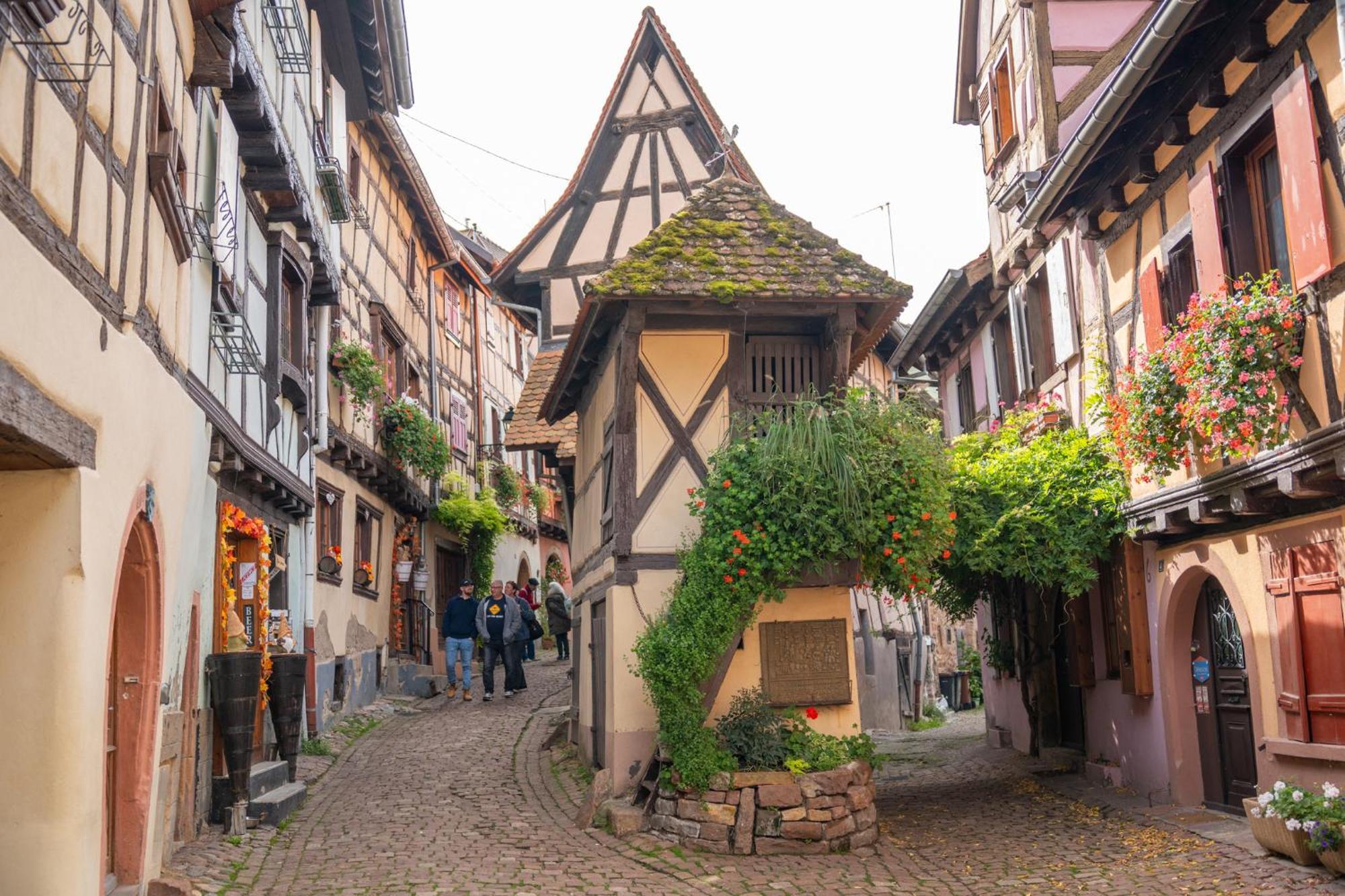 Gite La Grange Eguisheim Dış mekan fotoğraf